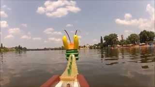 preview picture of video 'Drachenboot Event Ladenburg 2013 der Römer Dragons'