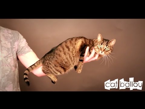 CAT BALLOU // Lokalpatrioten // DVD Trailer 1
