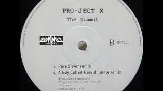 Pro-ject X - The Summit (A Guy Called Gerald Jungle Remix)