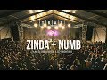 Zinda Numb T R A P The Radical Array Project Plan B Bollywood Beyond 2020