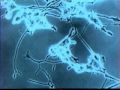 Activité neuronale au microscope électronique