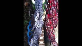 Wild Animal Rival Sons Rising