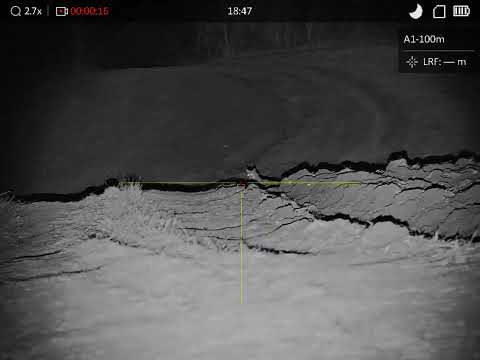 HIKMICRO - Cheetah C32F-SNL LRF - Jackal hunting - 223 rem. IR/Custom light 850nm/.