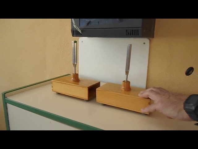 Vídeo relacionado con CATIEBYE Diapasón de Resonancia Física Base de Madera y Martillo Instrumento Experimental Acústico Duradero y Fácil de Usar para Enseñanza y Experimentos Sonoros