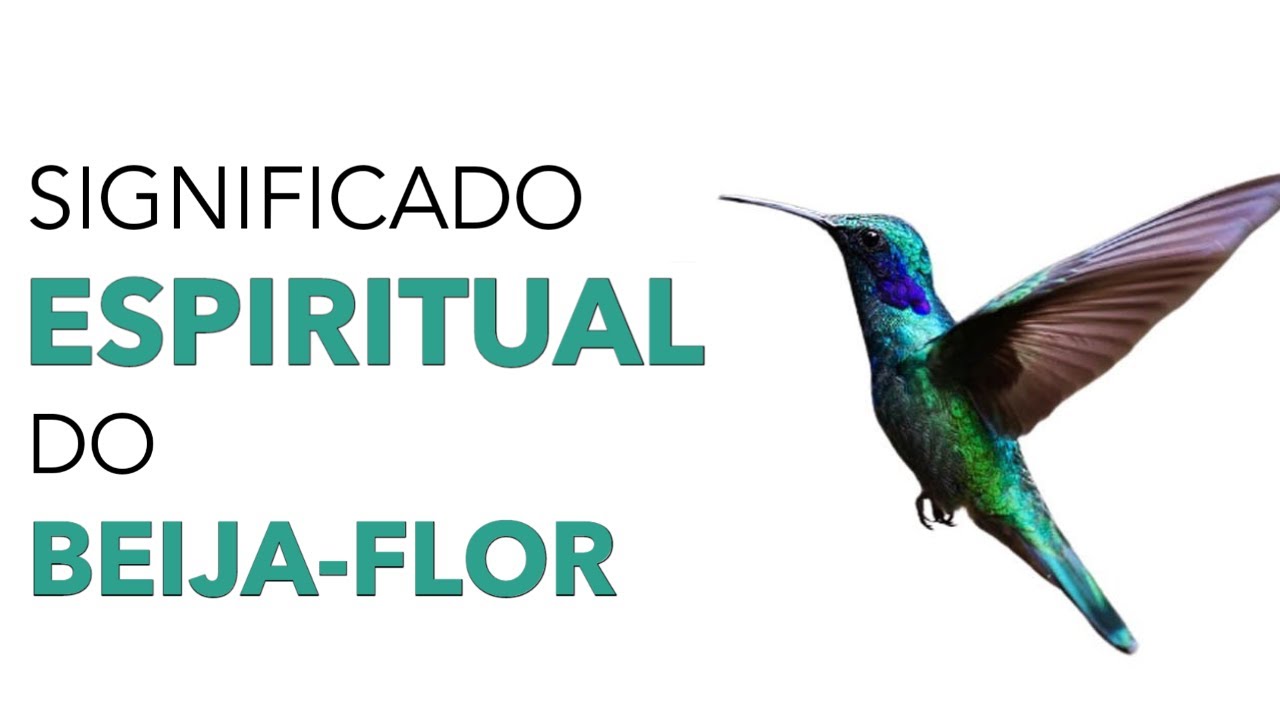 O Significado Espiritual Do Beija-Flor