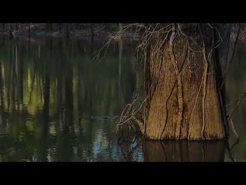 video of Blue Lake