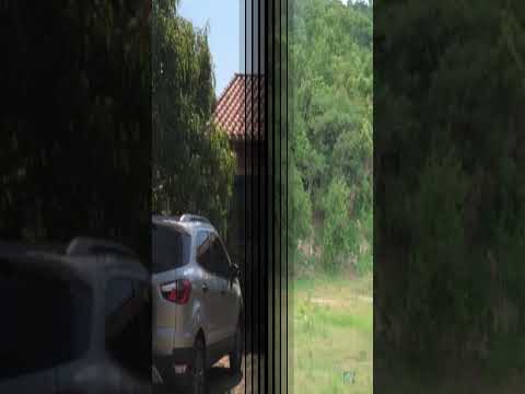 Distrito Colombiano en Paraguay🇨🇴♥🇵🇾 #shorst #youtubeshorts #sabiasque #curiosidades #datoscuriosos