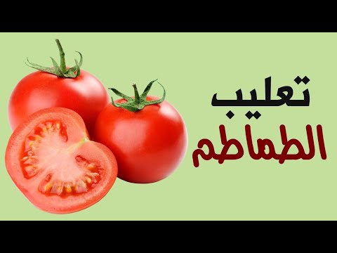 طرق تفريز وتعليب الطماطم في المنزل