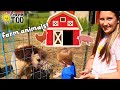 Farm Animals Learn About Farm Animals For Kids Farm Animals For Toddlers Chickens Goats Horses