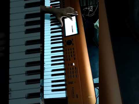 Krome ex copper playing live performance