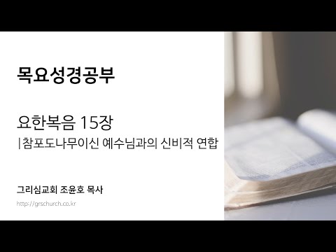 [목요성경공부] 요한복음 15장 : 참포도나무이신 예수님과의 신비적 연합