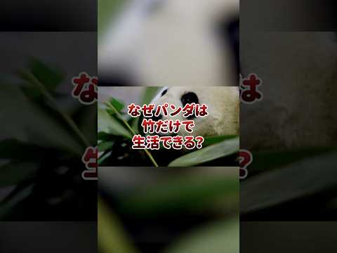 IUCN分類における絶滅の危険性を示す図。