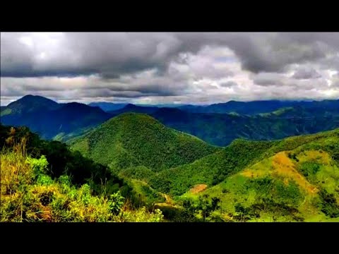 Paraíso verde cordillera andina cumbitara nariño Colombia 