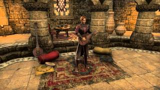Bard in Sister of the Sands Inn , Sentinel , Alik'r Desert . Ode to Queen Ayrenn