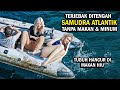 TRUE STORY SURVIVAL IN THE MIDDLE OF THE ATLANTIC OCEAN Movie Storyline