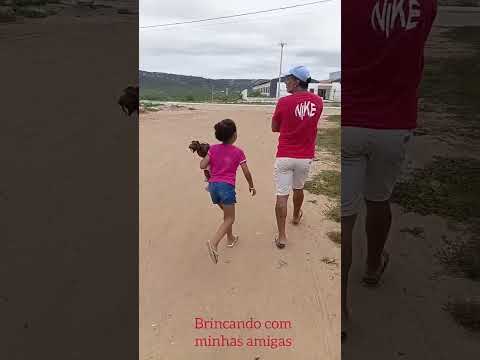 Visitando algodão de jandaira 