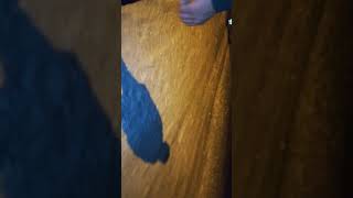 Fratele lui Gigi Kent