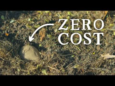 Zero Cost No-Dig Potatoes & Giant Field Beans | Huw's Garden Diaries