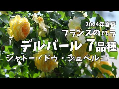 シャトー・ド・ベル・アブール - 定義