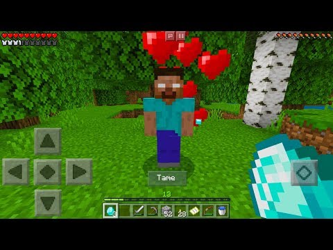 How To Make a Friendly Herobrine in Minecraft Pocket Edition Video