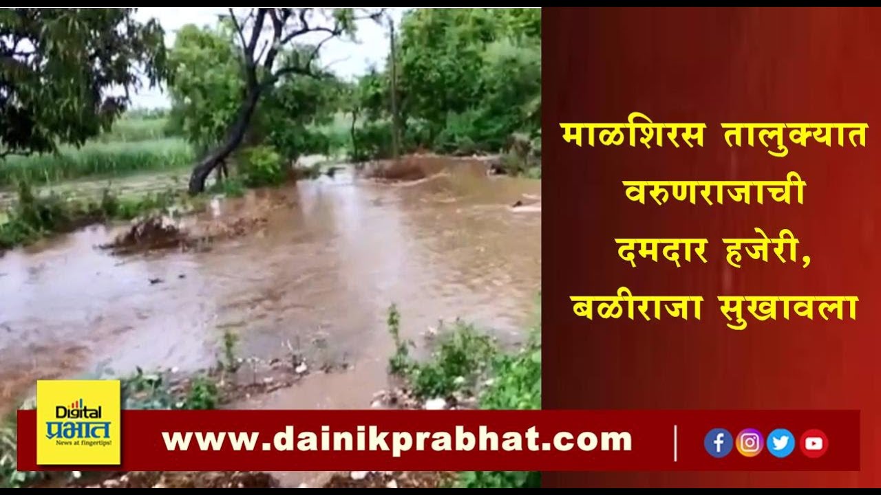 माळशिरस तालुक्यात वरुणराजाची दमदार हजेरी; बळीराजा सुखावला