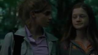 Fred+Hermione_Harry+Ginny Feat. Ron+Hermione_Dean+Ginny (Last Christmas)