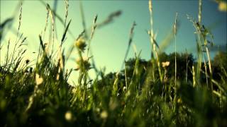 Melounge - Whispering Grass