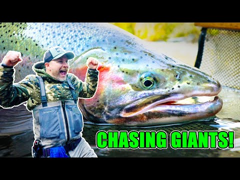 BANK Fishing a New River for FRESH CHROME Steelhead. BIG Fish Landed!