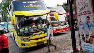 Download lagu Terminal Pondok Pinang | Hunting Bus | Stj Thorin mp3