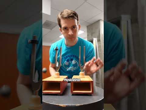 Today, we look at the interference of sound waves! #physics #science #sound #audio #music