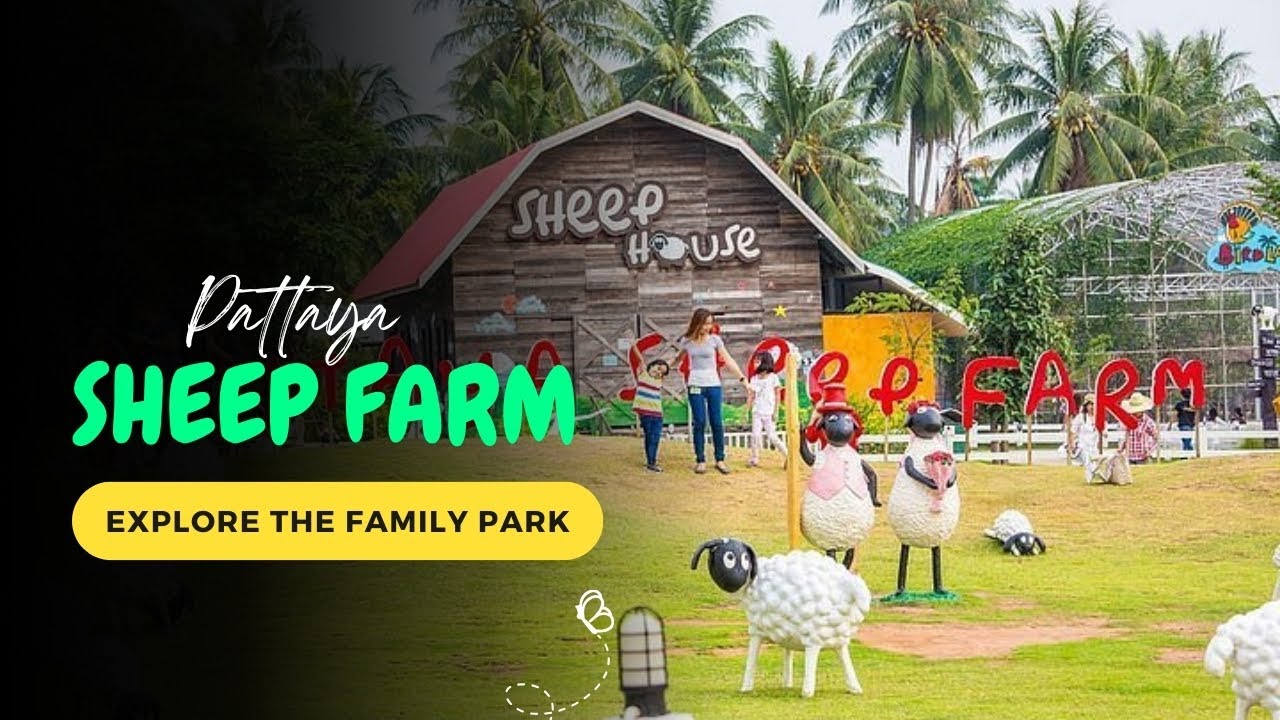 Embark on an engaging virtual journey through Pattaya Sheep Farm!