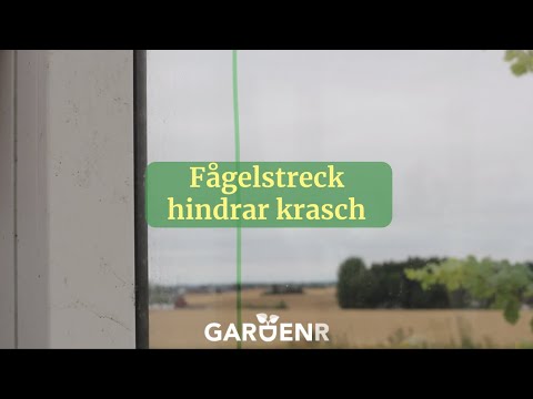 Fågelstreck hindrar krasch - Trädgårdshacks med gardenr