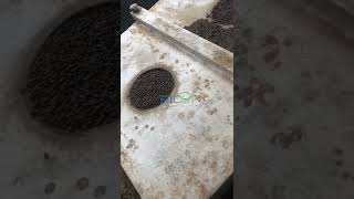 RICHI Twin Screw Extruder In 10T/H Aqua Feed Mill Factory