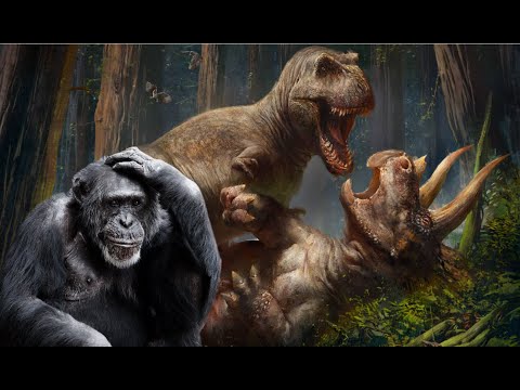 Could modern mammals survive in the Mesozoic?
