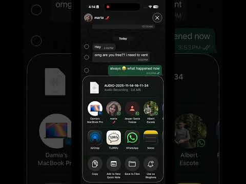 TLDRify: voice notes summaries
