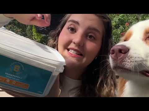 Miniatyrbild: ULLARED HUND HAUL – Hundprylar och vandringsfynd – Ullared haul på YouTube