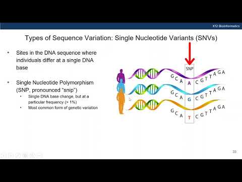 Introduction to DNA Sequence Variation