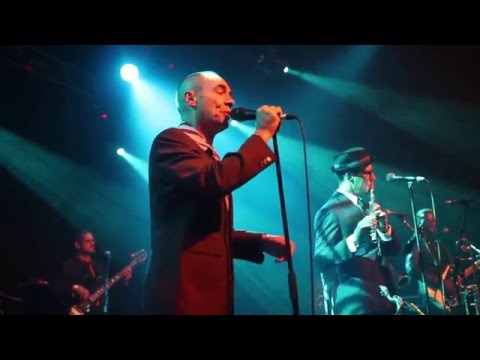 New Cool Collective & Matt Bianco (Mark Reilly) // LIVE