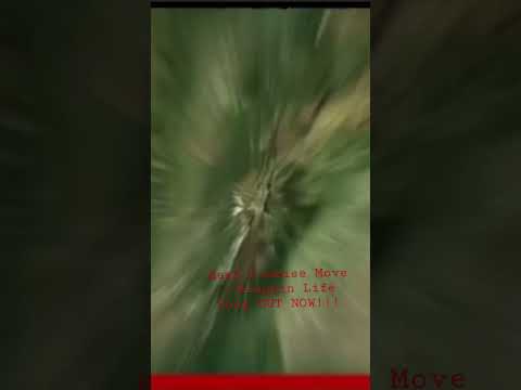 New Music 🚨 Kash Promise Move - Kingpin Life #columbia #dancehall #dancehallmusic #kashpromisemove