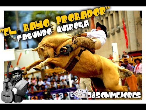 El Bayo Probador | FACUNDO QUIROGA