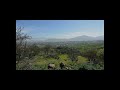 Tour Virtual