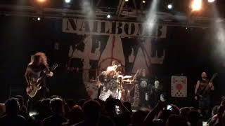 COCKROACHES SOULFLY-NAILBOMB