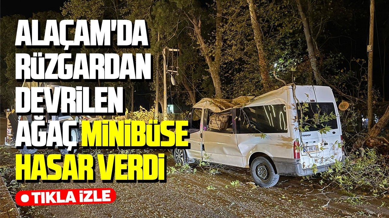 Alaçam'da rüzgardan devrilen ağaç minibüse hasar verdi