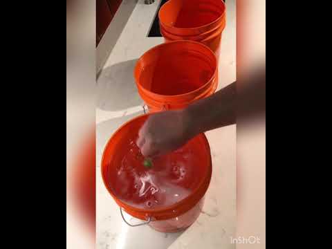 Bud Washing - Quick Tutorial