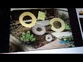 Sesame Street Letter O Garden