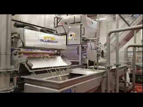 Spray optical sorting machine for diced potatoes | RAYTEC VISION SpA