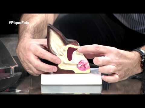 El Pique de Falú 10-27-16 (03) - Entrevista a Remi Martin y al Dr. Ernesto Casta