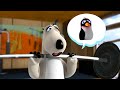 Bernard Bear The Gym The Wild Life Of Bernard Bear Funny Episodes Super Toons For Kids