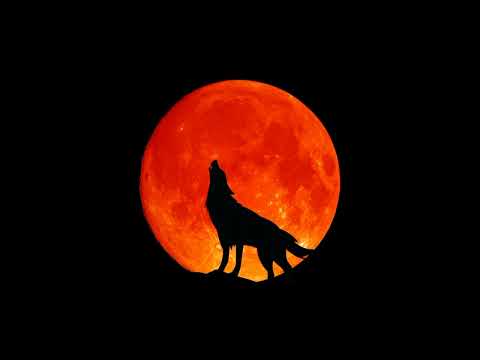 Yung Luka-Wolf Moon