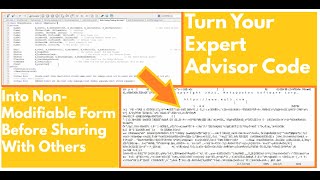 How To Export Meta Trader Expert Advisor (EA) So Others Can